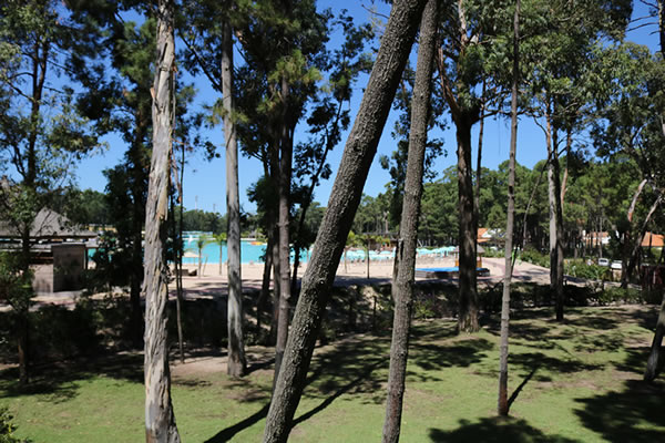 Forest Lagoon